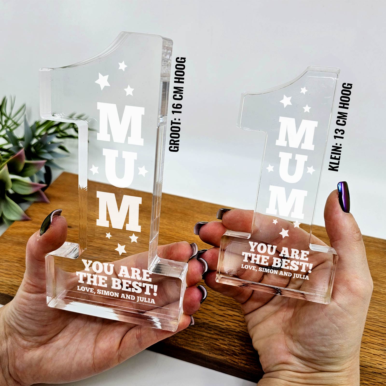 You Are the Best - Family #1 Award!